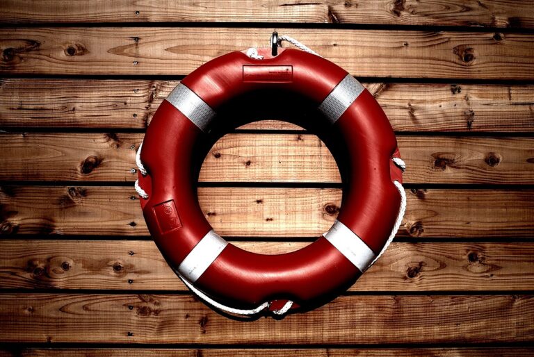 lifesaver, life buoy, safety